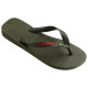 Havaianas Brasil Logo